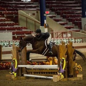 Meet your Posher, Dustin